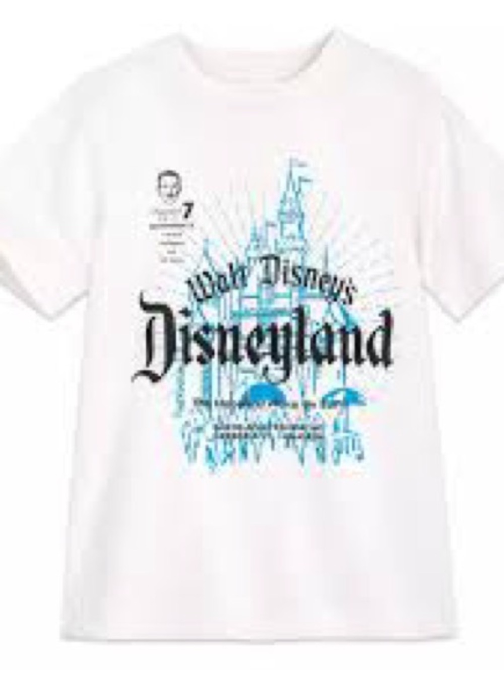 Disney100 Decades Disneyland Walt Disney Castle Graphic T-Shirt XXL